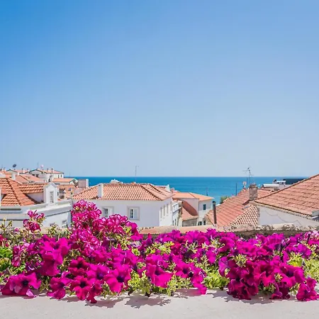 Estrela De 塞辛布拉